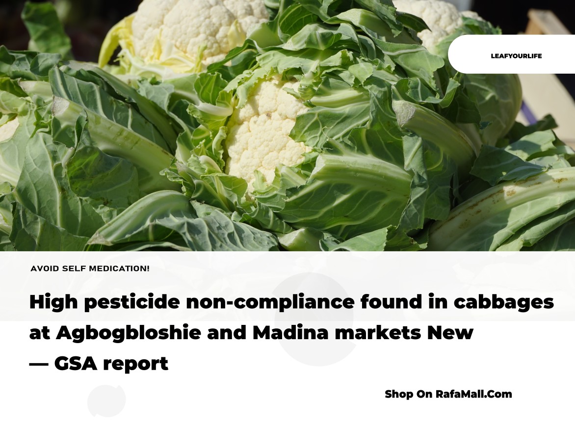 Fresh cabbages displayed at a bustling Ghanaian market stall, with a Ghana Standards Authority (GSA) report document visible.
