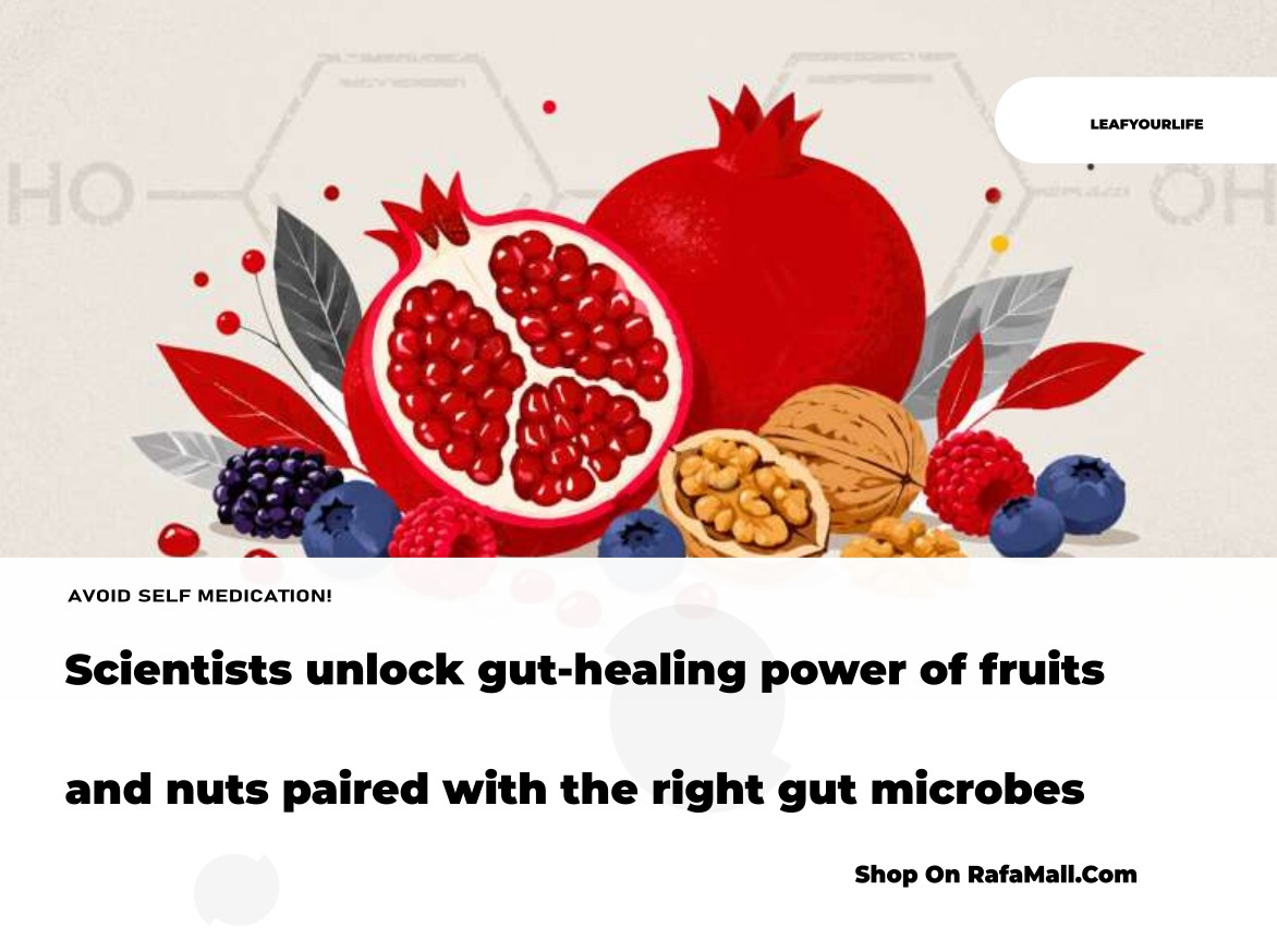 Illustration of gut microbes interacting with fruits like pomegranates, walnuts, and berries, symbolizing their role in supporting gut health and intestinal repair.