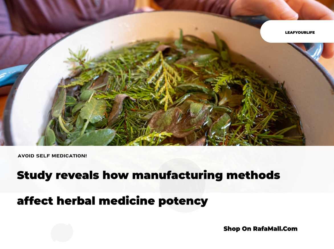 A side-by-side comparison of traditional water decoction and modern ethanol extraction methods for herbal medicine, featuring honeysuckle.