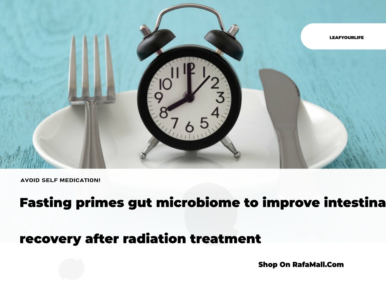 Illustration showing the human gut microbiome with various bacteria, representing the role of gut health in intestinal recovery after radiation treatment.