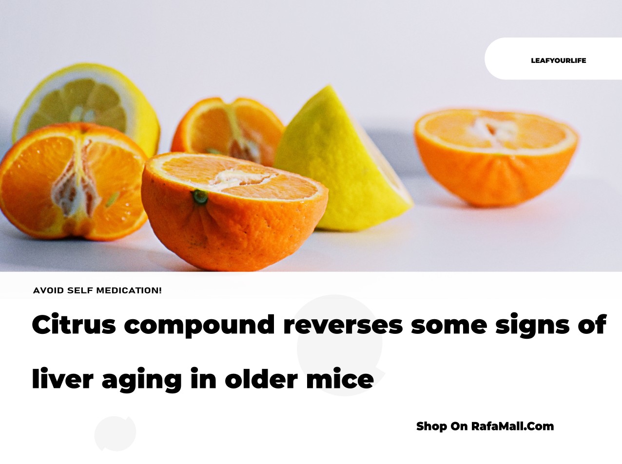 Hesperetin, a citrus flavonoid, shown to reverse signs of liver aging in older mice by boosting the protective Cisd2 gene.