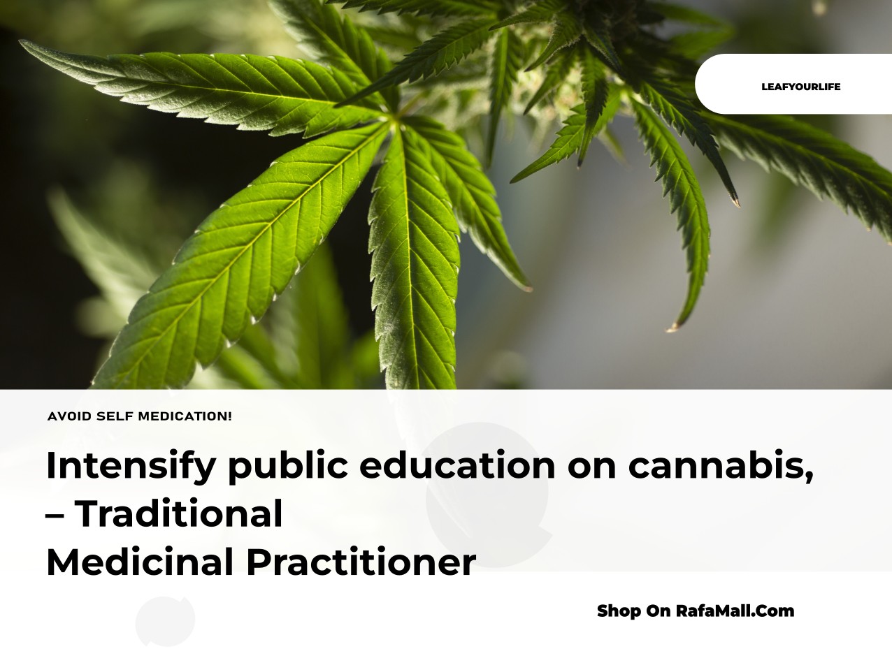 Intensify public education on cannabis, Indian hemp – Traditional Medicinal Practitioner