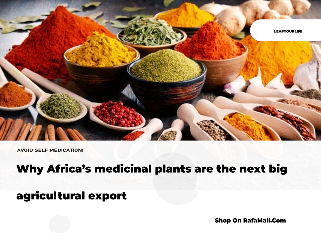 A vibrant assortment of common spices in bowls, including cinnamon sticks, red chili flakes, and other herbs, symbolizing their health benefits.