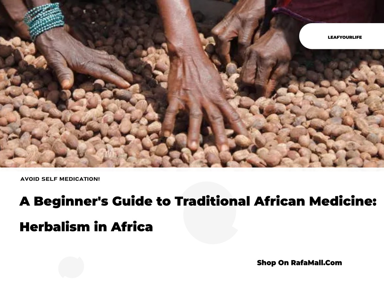 A collection of traditional African herbs and remedies, representing the ancient practices of Traditional African Medicine and herbalism.