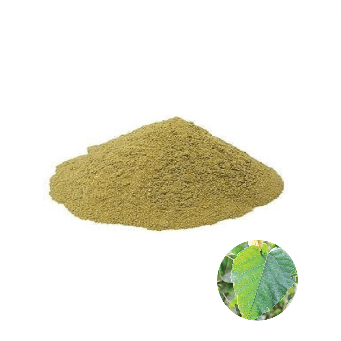 Alchornea cordifolia (Gyama) leaf – 250g