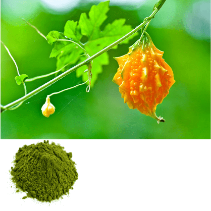 Momordica charantia leaf – 150g