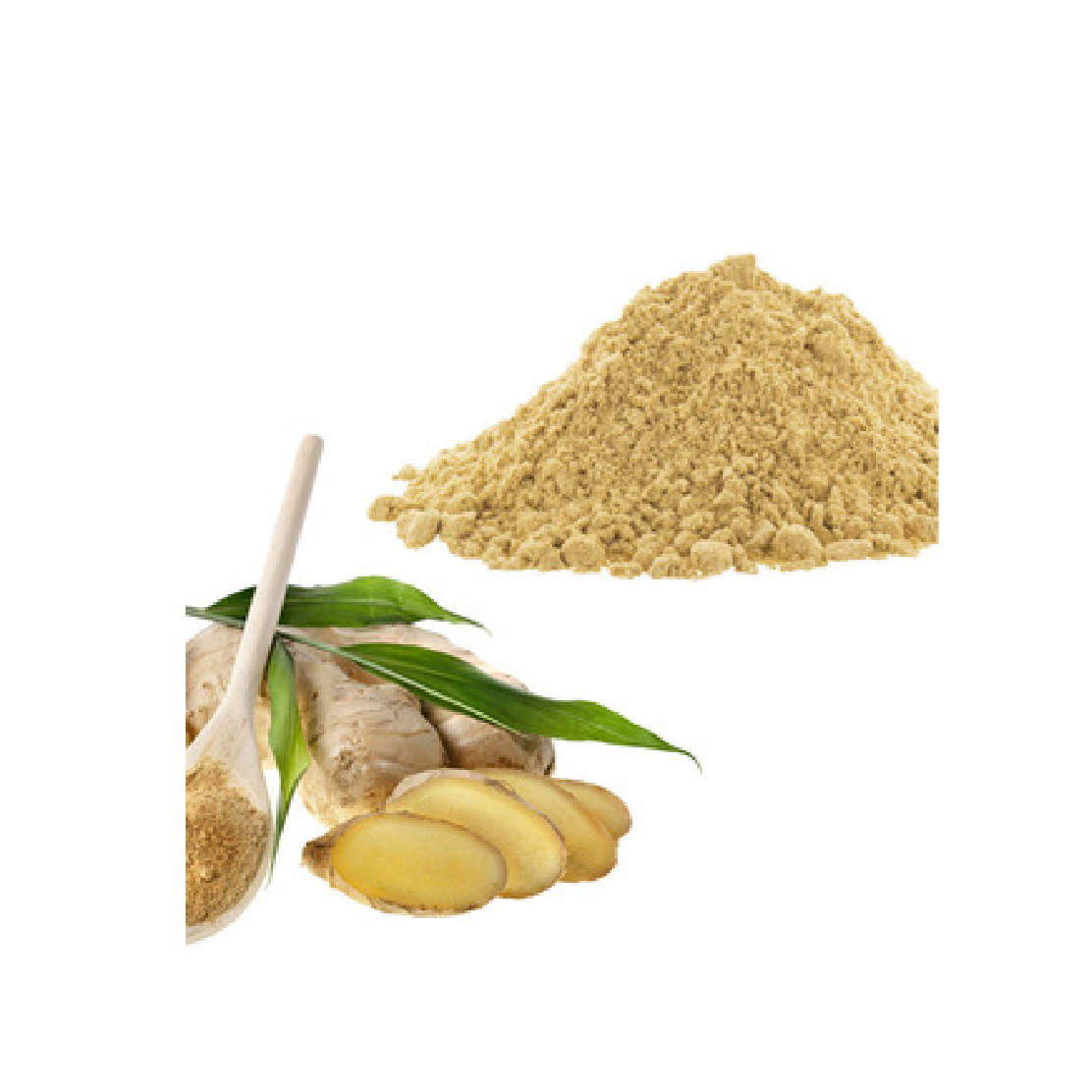 Zingiber officinale (Ginger) – 100g