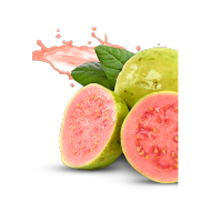 Psidium guajava (Guava)  – 150g