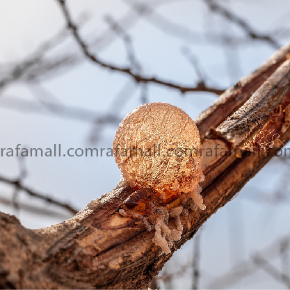 Gum Arabic -1 ton