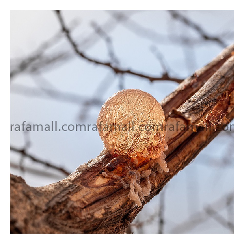Gum Arabic -1 ton — Rafamall