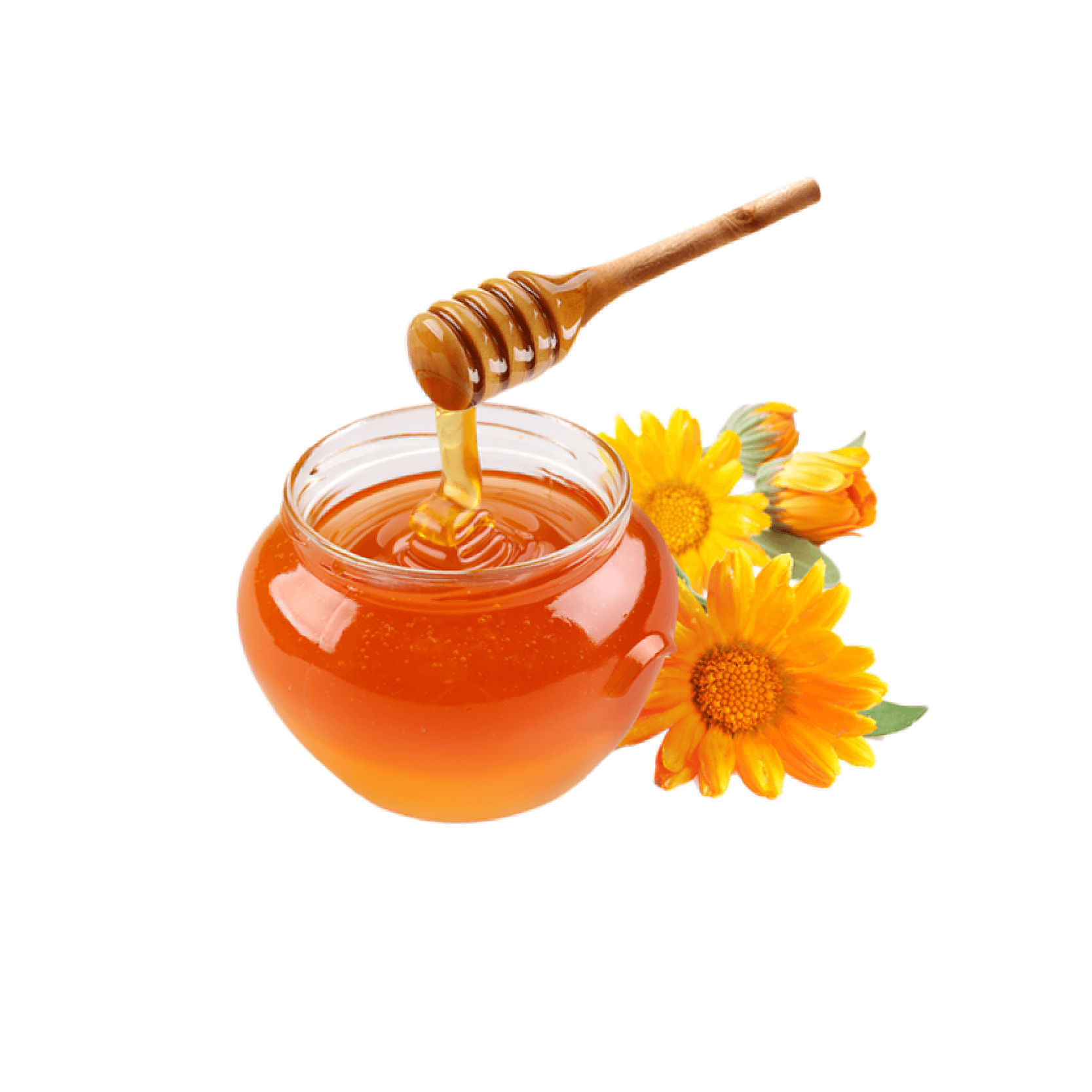 Organic Honey-330ml