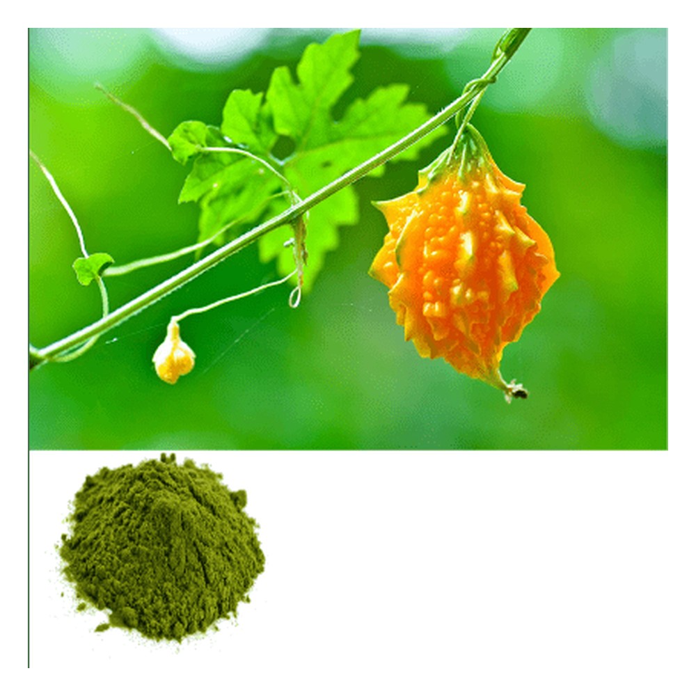Momordica charantia leaf – 150g — Rafamall