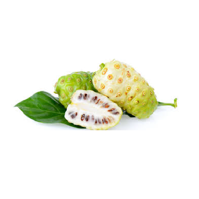 (Noni) Morinda citrofolia fruit  – 150g