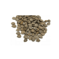 Cassia occidentalis seeds(Mmofraborode3) – 150g