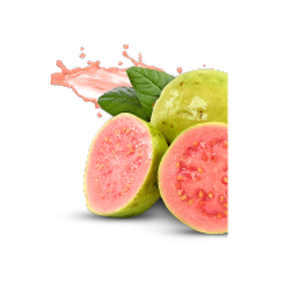 Psidium guajava (Guava)  – 150g — Rafamall