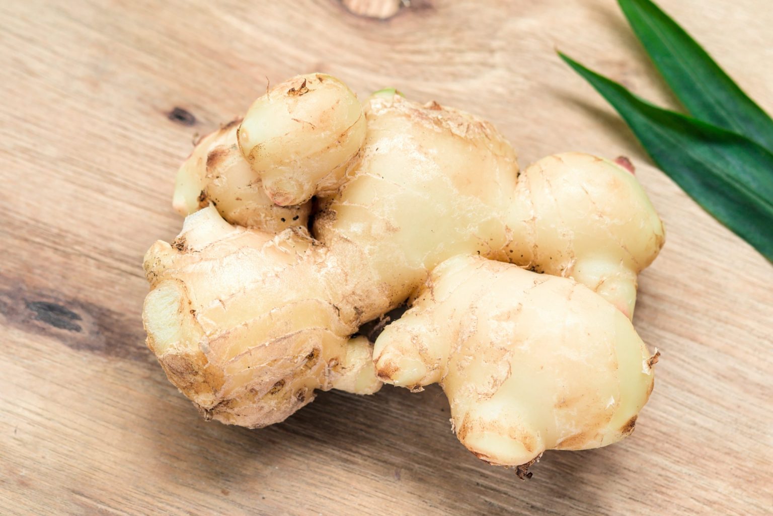 This unique property of Ginger makes it a promising alternative to the