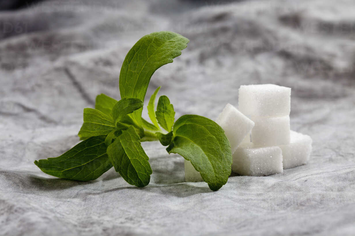 Is Stevia The Safest Sugar Substitute