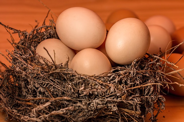 Eat eggs daily to reduce risk of diseases