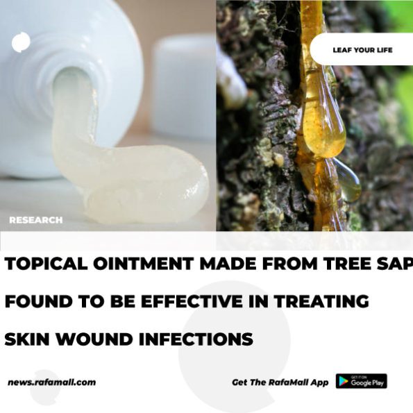 Topical ointment made from tree sap found to be effective in treating ...