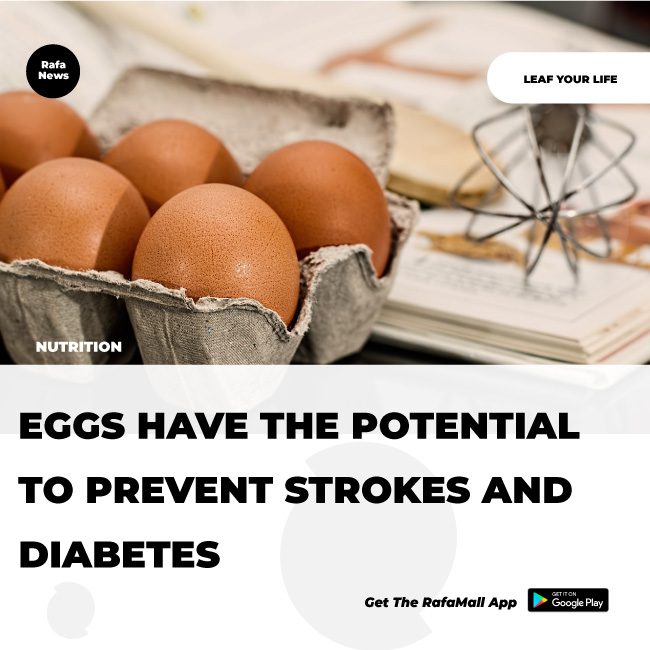 Eggs have the potential to prevent strokes and diabetes Rafamall