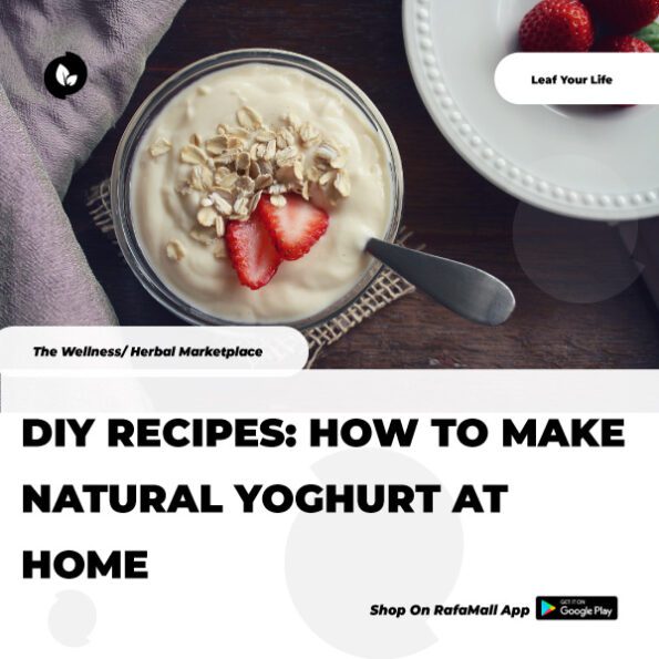 DIY Recipes How to make Natural yoghurt at home Rafamall