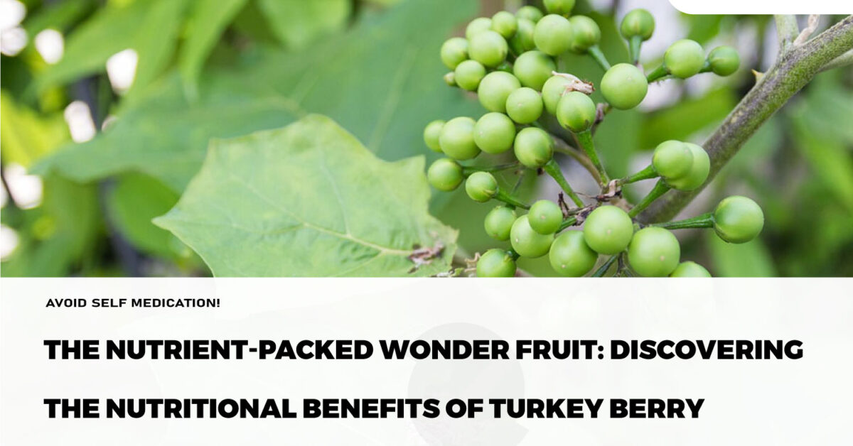 The nutrientpacked wonder fruit Discovering the nutritional benefits of turkey berry Rafamall