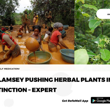 Manufacturers of herbal medicine form Herbaceuticals Society of Ghana