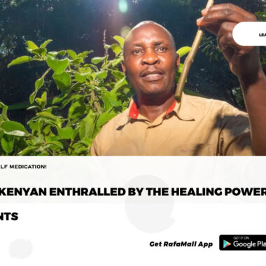 Herbal medicine can earn Ghana GH¢30 billion in revenue – Practitioners