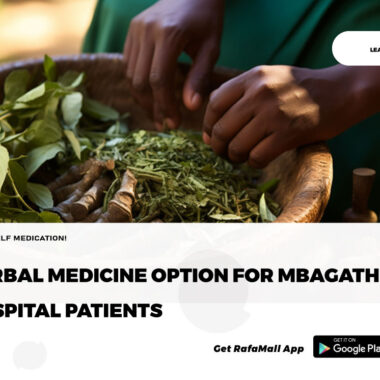 Bsc Herbal Medicine At KNUST: Bridging Traditional Medicine With Modern Healthcare