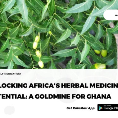 Herbal medicines do not kill malaria parasites – Doctor